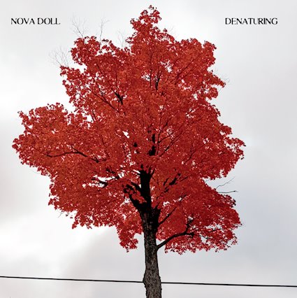 Nova Doll – Denaturing