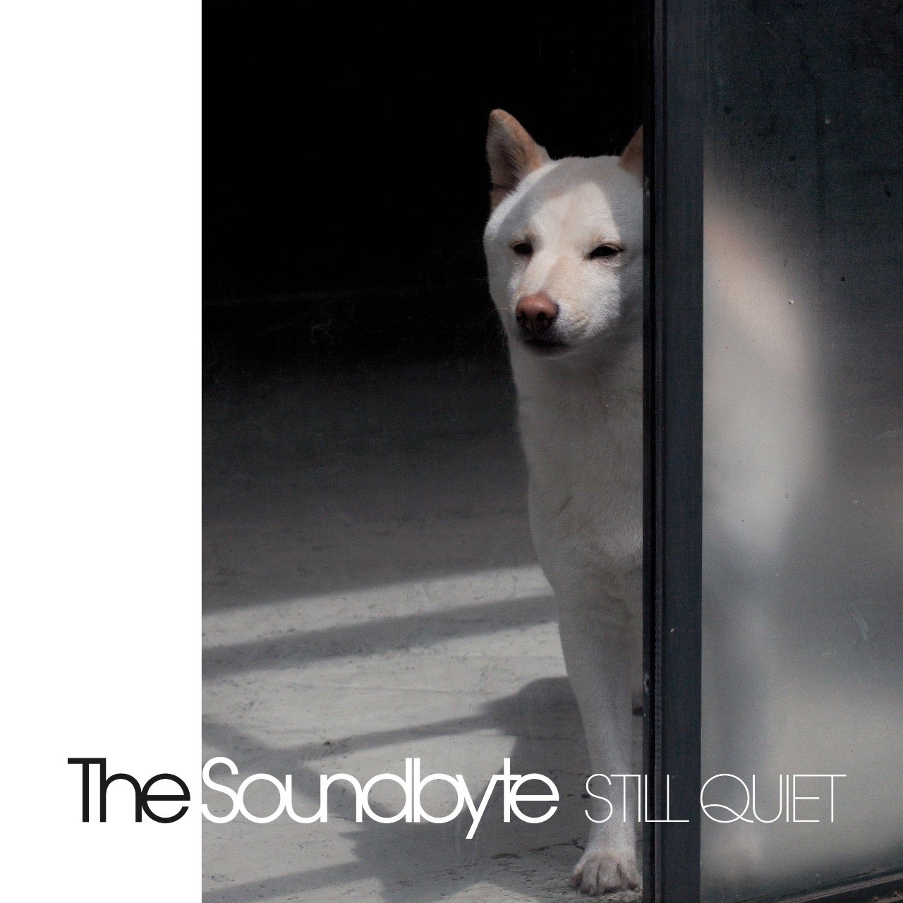 Zwischen Stille und Sturm: The Soundbyte brechen Konventionen