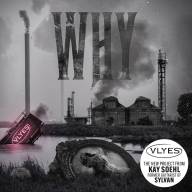 VLYES' 'Why': Eine Reise durch emotionale Tiefen und progressive Klänge